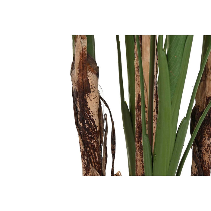 Plantă decorativă DKD Home Decor (90 x 90 x 200 cm)