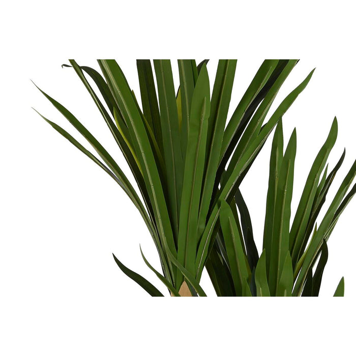 Plantă decorativă DKD Home Decor (80 x 80 x 180 cm)