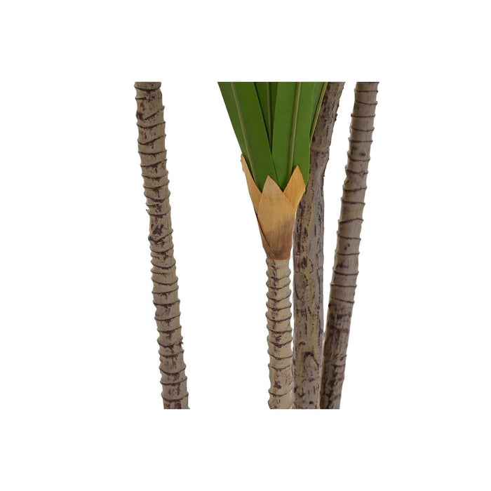 Plantă decorativă DKD Home Decor (80 x 80 x 180 cm)