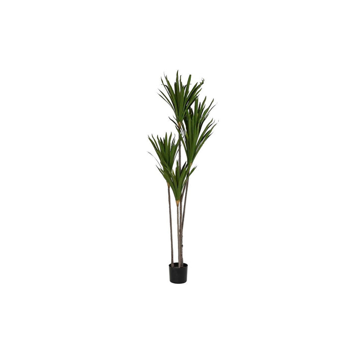 Plantă decorativă DKD Home Decor (80 x 80 x 180 cm)