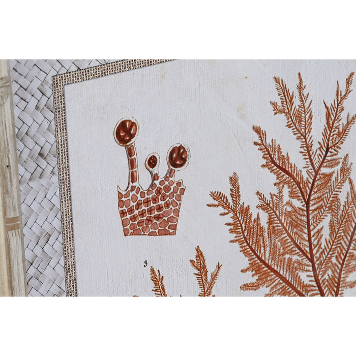 Tablou DKD Home Decor 50 x 2,8 x 65 cm Coral (4 Piese)