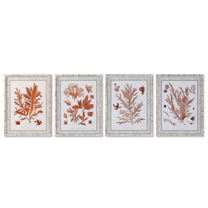 Tablou DKD Home Decor 50 x 2,8 x 65 cm Coral (4 Piese)