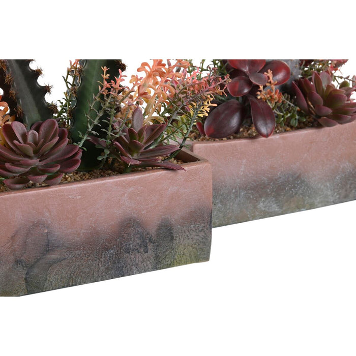 Plantă decorativă DKD Home Decor 19 x 9 x 22 cm Roz Portocaliu Cactus Cauciuc Eva polipropilenă (2 Unități)