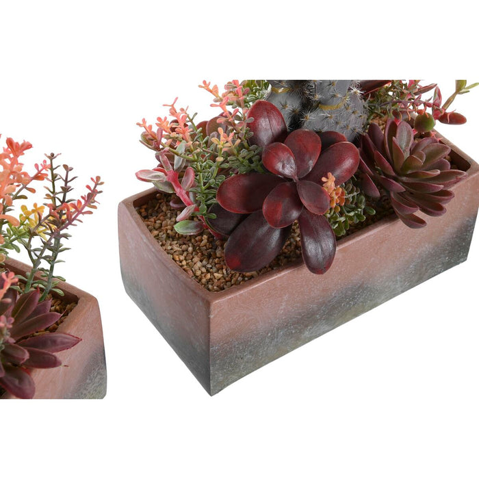 Plantă decorativă DKD Home Decor 19 x 9 x 22 cm Roz Portocaliu Cactus Cauciuc Eva polipropilenă (2 Unități)
