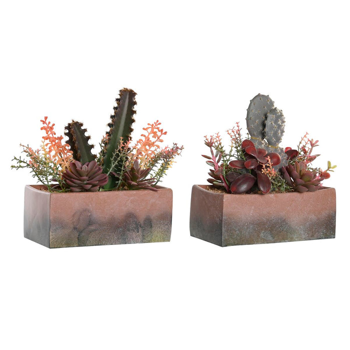 Plantă decorativă DKD Home Decor 19 x 9 x 22 cm Roz Portocaliu Cactus Cauciuc Eva polipropilenă (2 Unități)