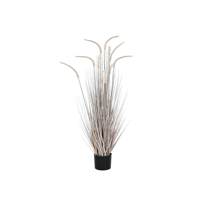 Plantă decorativă DKD Home Decor Gri deschis (35 x 35 x 120 cm)