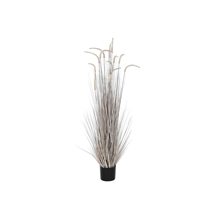 Plantă decorativă DKD Home Decor Gri deschis (45 x 45 x 150 cm)