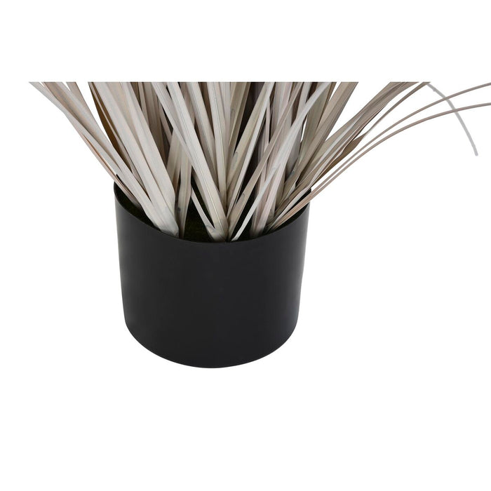 Plantă decorativă DKD Home Decor Pensulă (35 x 35 x 120 cm)