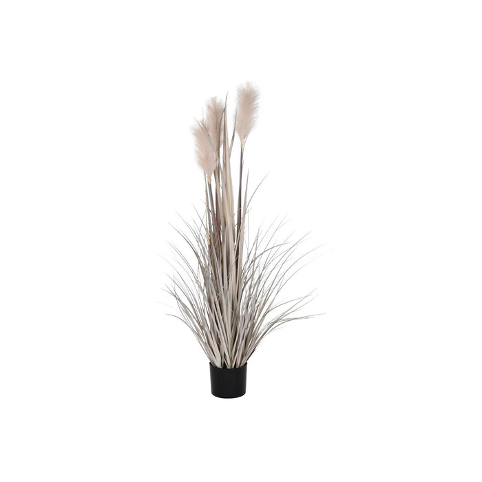 Plantă decorativă DKD Home Decor Pensulă (35 x 35 x 120 cm)