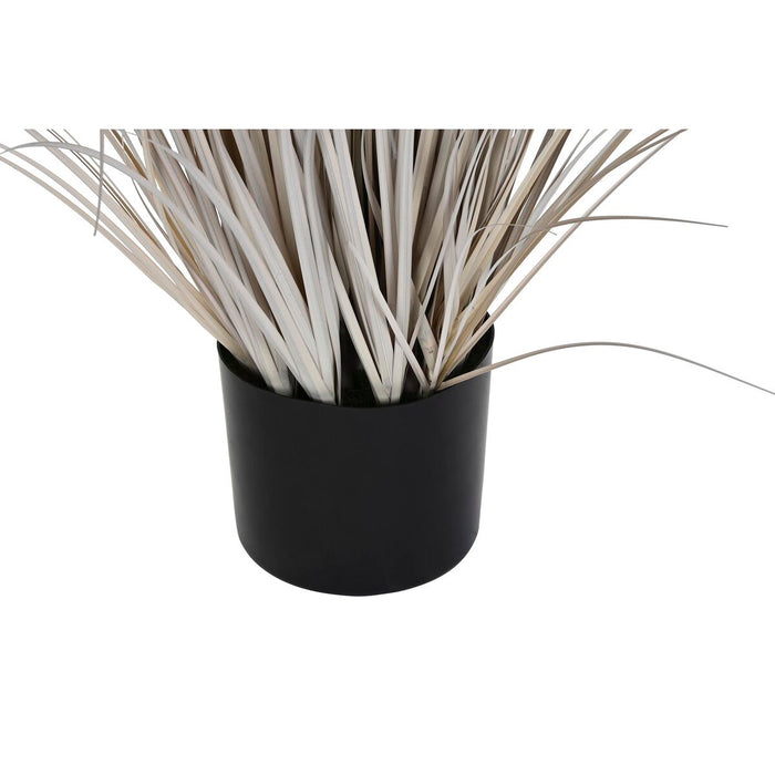 Plantă decorativă DKD Home Decor Pensulă (45 x 45 x 150 cm)