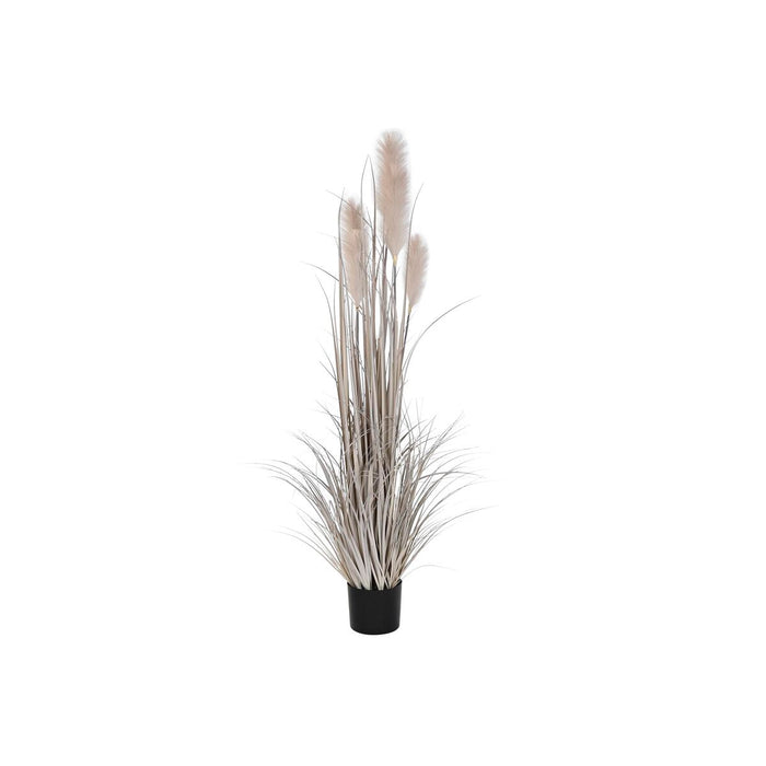 Plantă decorativă DKD Home Decor Pensulă (45 x 45 x 150 cm)
