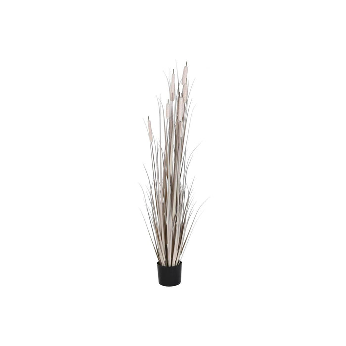 Plantă decorativă DKD Home Decor Stuf (45 x 45 x 150 cm)