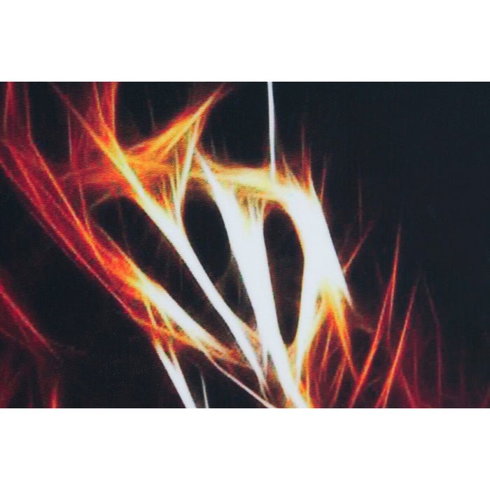 Tablou DKD Home Decor Tigru 80 x 3 x 80 cm Modern (2 Unități)