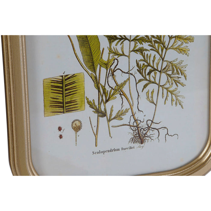 Tablou DKD Home Decor Modern Plante botanice 30 x 2 x 45 cm (9 Unități)