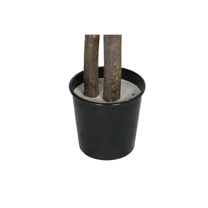 Copac Home ESPRIT Poliester Lemn 100 x 100 x 185 cm