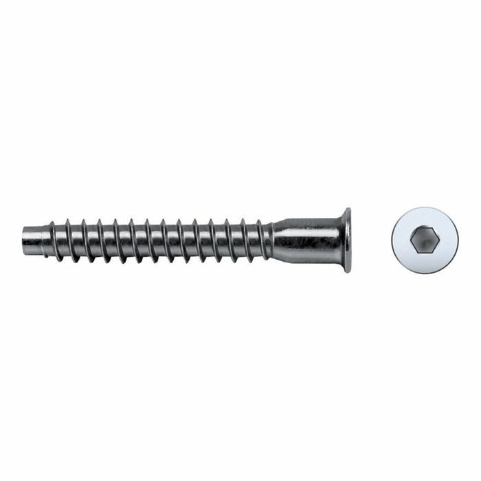 Cutie cu șuruburi CELO 250 Unități Placat cu zinc (50 mm)