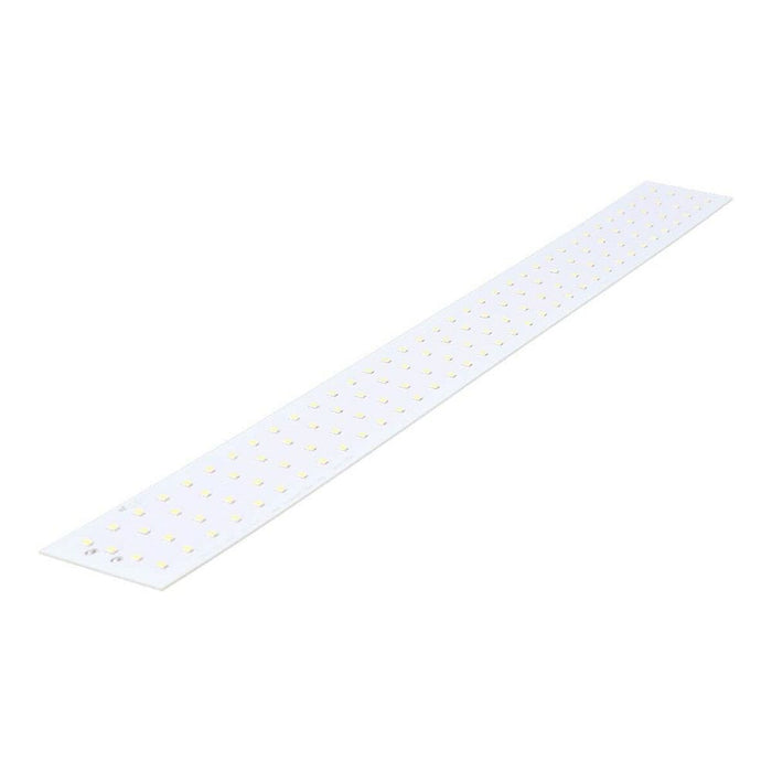 LED EDM 31752 Rezervă