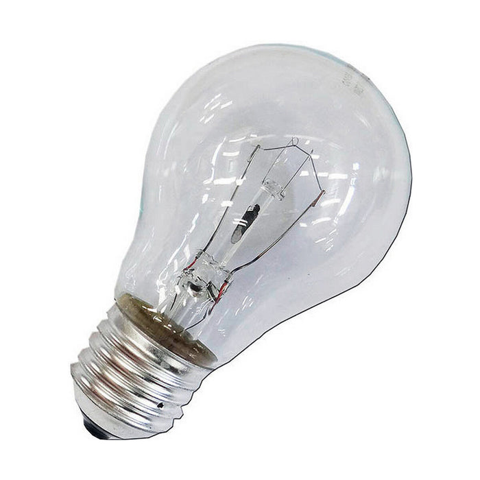 Bec incandescent EDM industrial 40 W