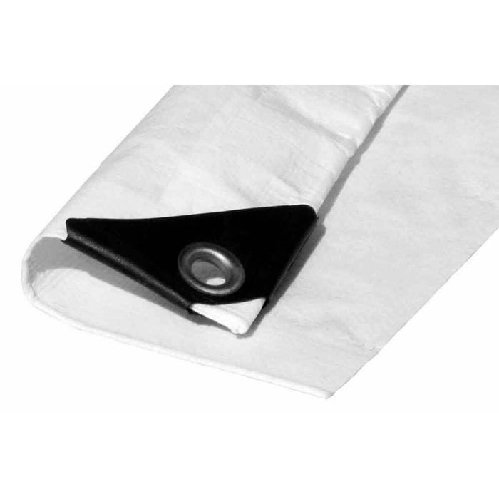 Copertină EDM Cu două fețe Alb 90 g/m² 5 x 8 m