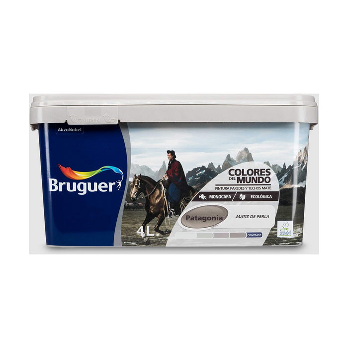 Tablou Bruguer Patagonia 4 L