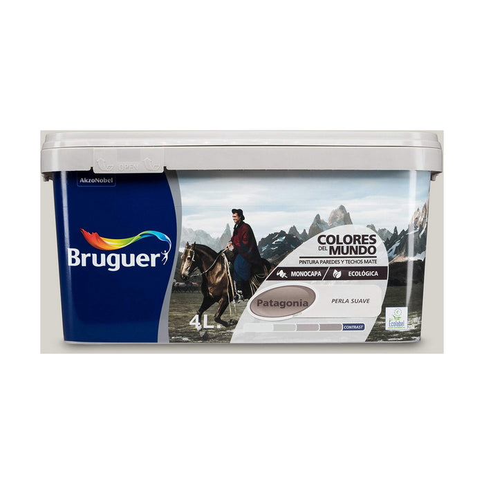 Tablou Bruguer Patagonia 4 L