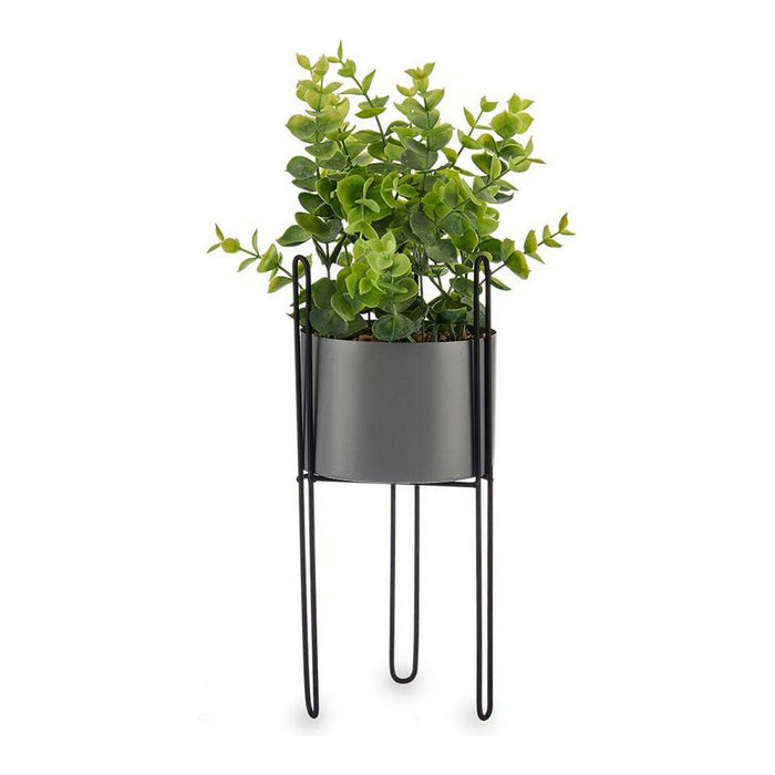 Plantă decorativă Gri Eucalipt Cu suport Metal Plastic (13 x 40 x 13 cm)