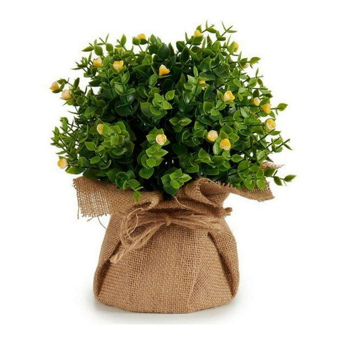 Plantă decorativă Plastic 22 x 28 x 22 cm