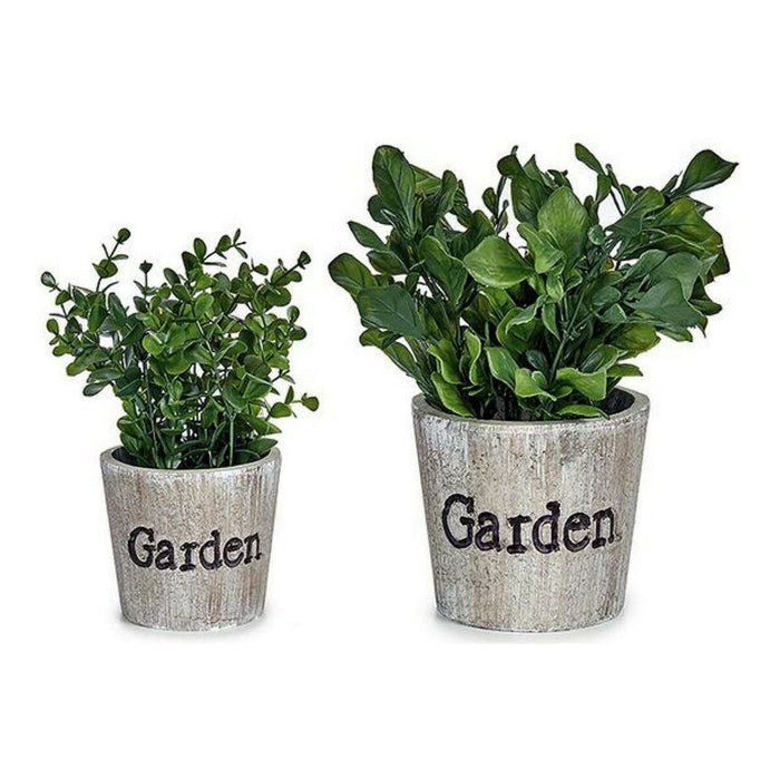 Plantă decorativă Verde Plastic 16 x 22 x 16 cm