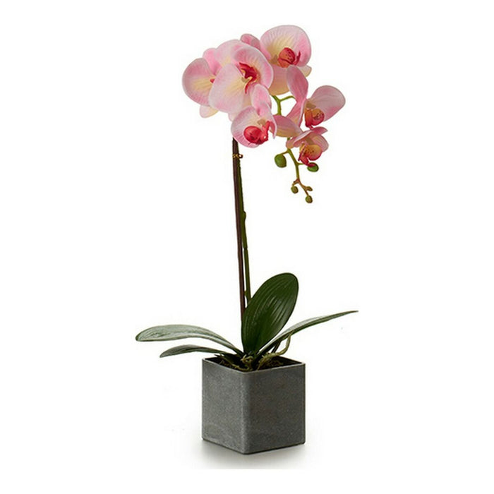 Plantă decorativă Orhidee 15 x 43 x 18 cm Plastic