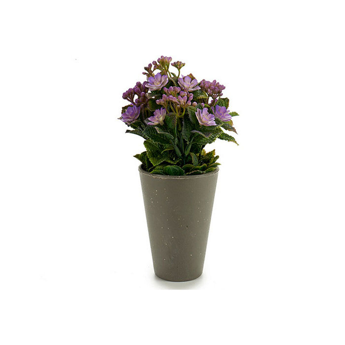 Ghiveci 8430852552877 Mov Portocaliu Alb Galben Plastic 11 x 22 x 11 cm