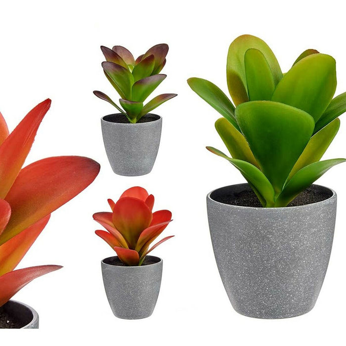 Plantă decorativă Roșu Gri Verde Plastic 11 x 20 x 11 cm