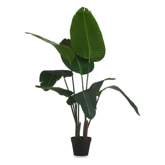 Plantă decorativă 100 x 100 x 100 cm Pasărea Paradisului