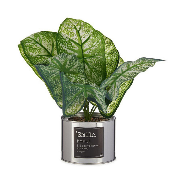 Plantă decorativă Smile Argintiu Doză Metal Plastic (26 x 26 x 26 cm)