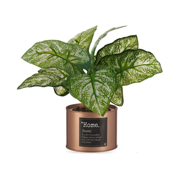 Plantă decorativă Home Cupru Doză 26 x 26 x 26 cm Metal Verde Plastic