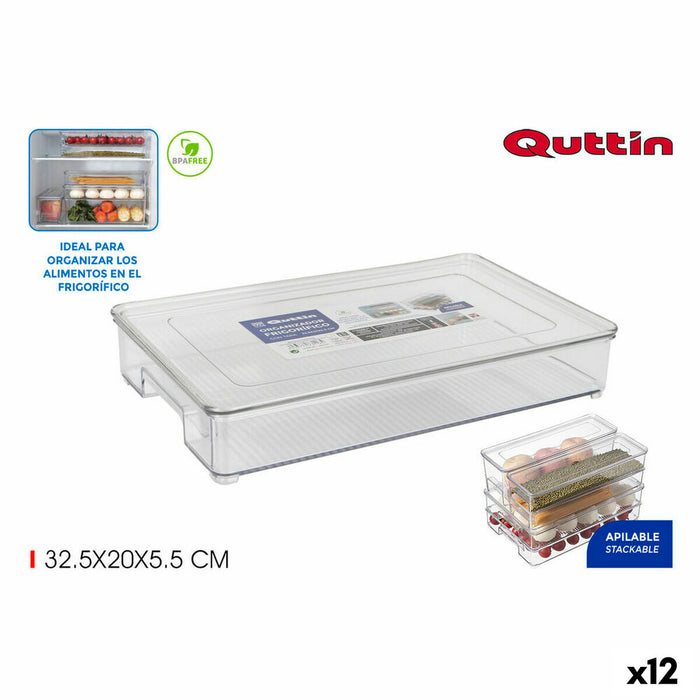 Organizator multifuncțional Quttin Cu Capac 32,5 x 20 x 5,5 cm