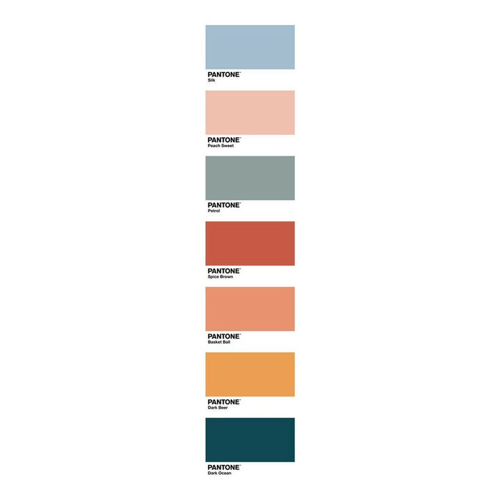 Set de foi Fun Deck C Pantone