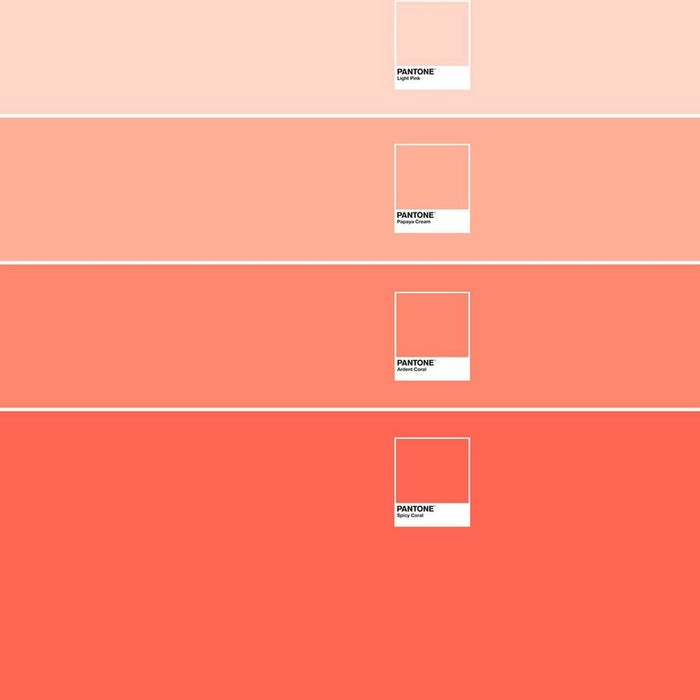 Husă de pilotă Ombre B Pantone