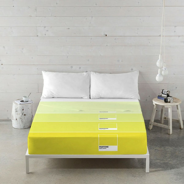 Set de foi Ombre C Pantone