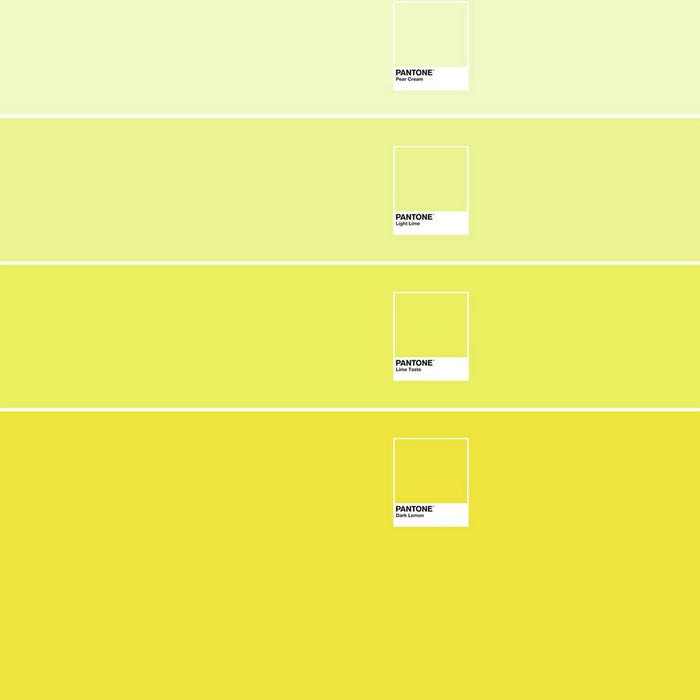 Husă de pilotă Ombre C Pantone