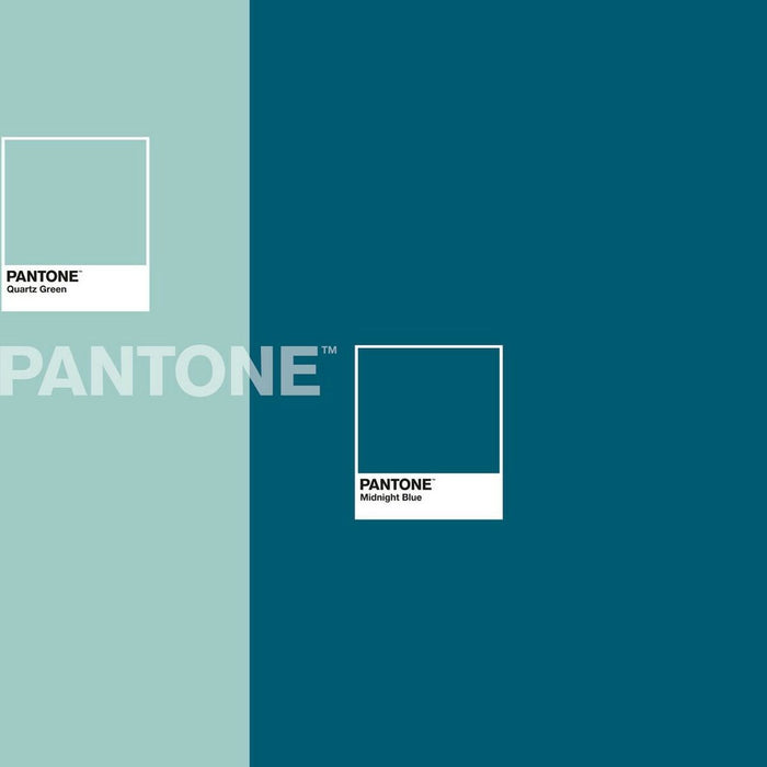 Husă de pilotă Two Colours Pantone