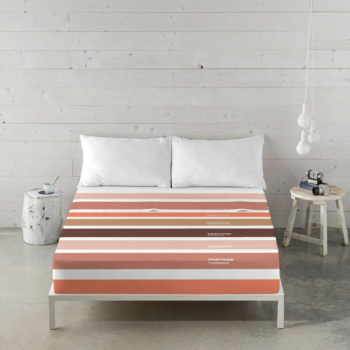 Set de foi Wide C Pantone