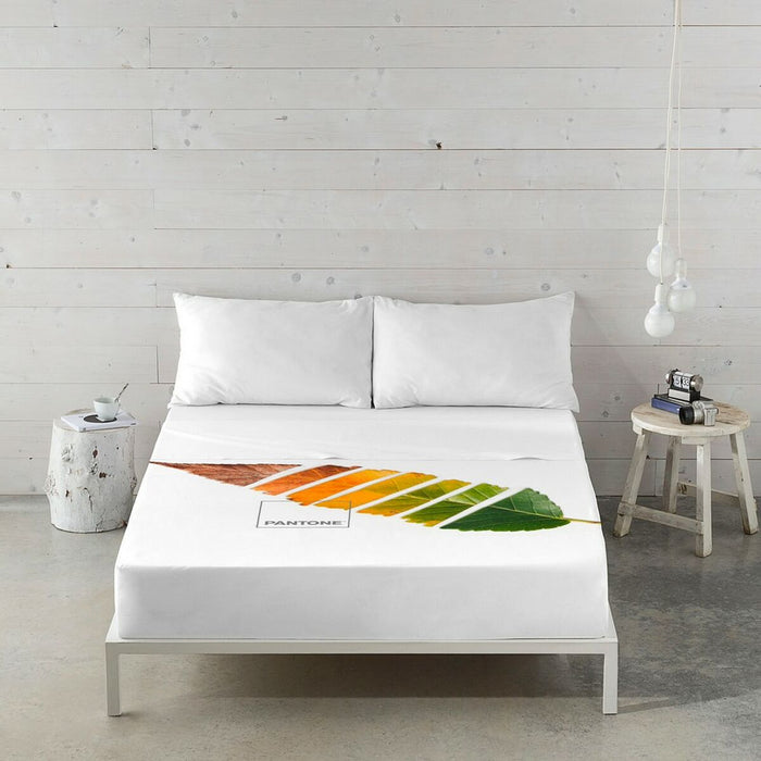 Set de foi Leaf Pantone