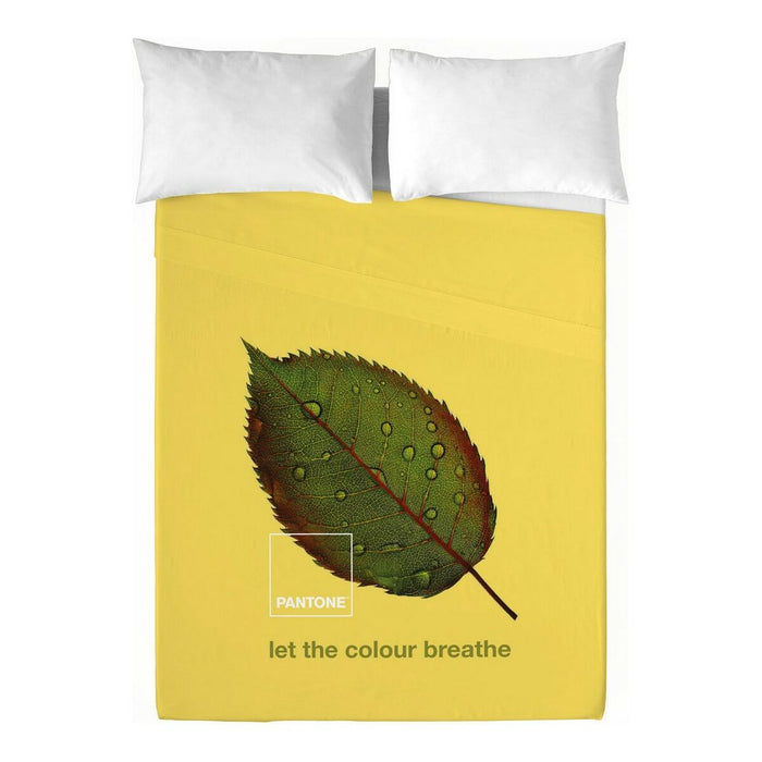 Set de foi Nature Pantone