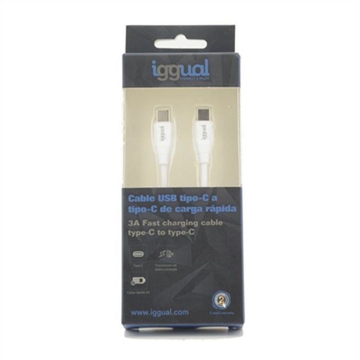 Încărcător de Perete iggual IGG317365