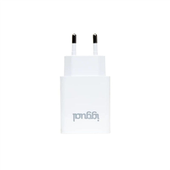 Încărcător de Perete iggual IGG318188 12 W