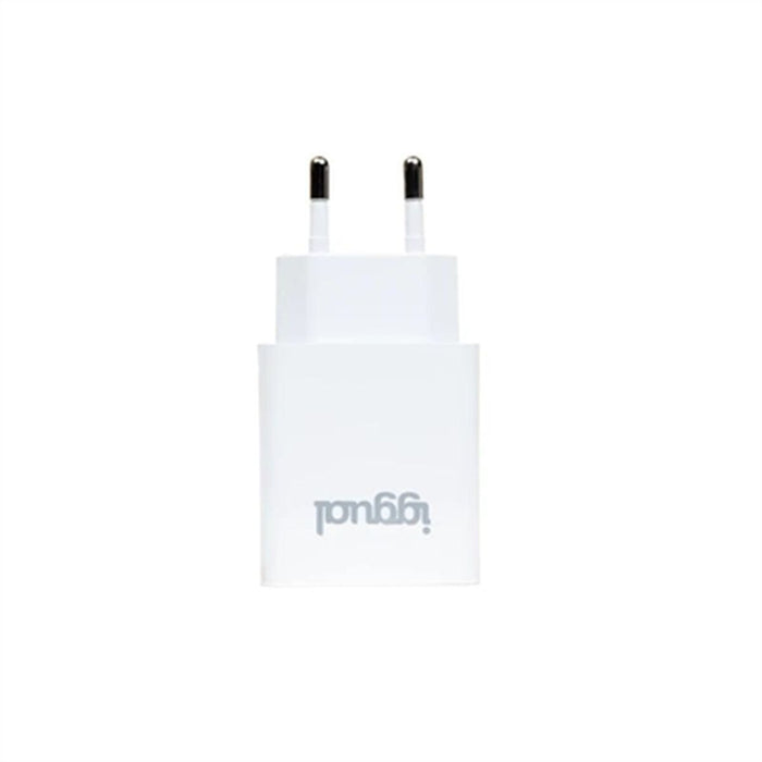 Încărcător de Perete iggual IGG318317 30 W
