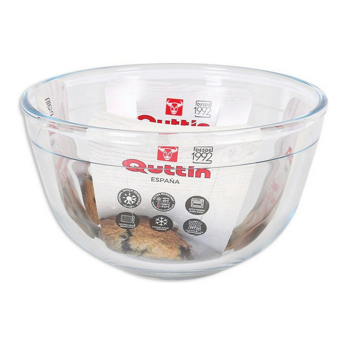 Bol Quttin Sticlă (ø17 cm - 1,1 L)