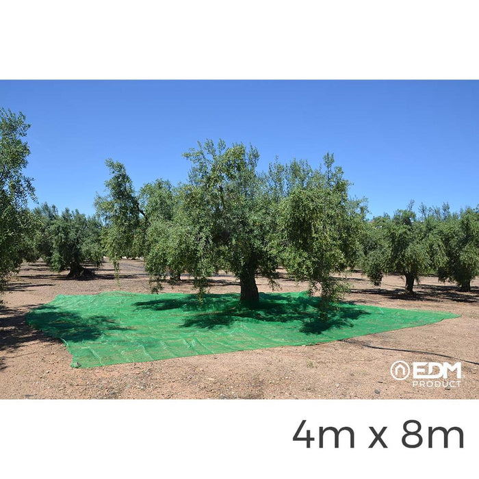 Legging EDM Colector de fructe Verde polipropilenă 4 x 8 m