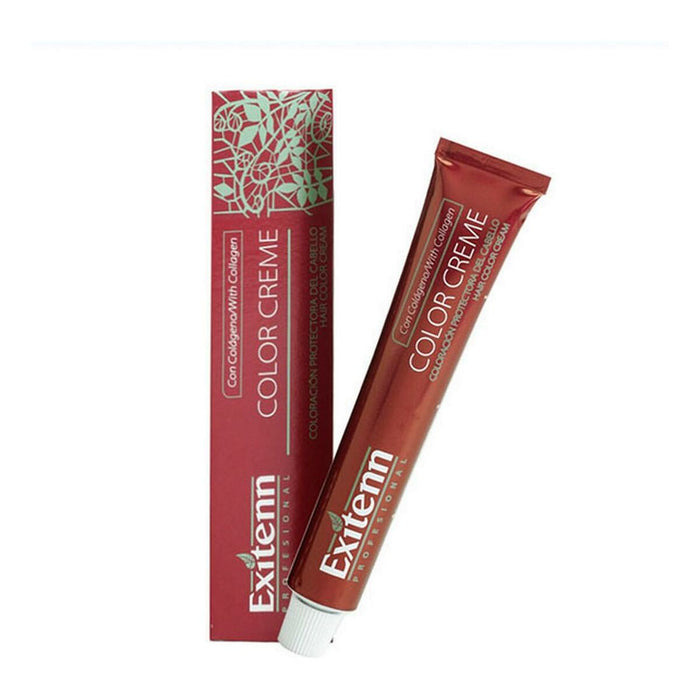Vopsea Permanentă Color Creme Exitenn Nº 12/03 Gold Sand (60 ml)