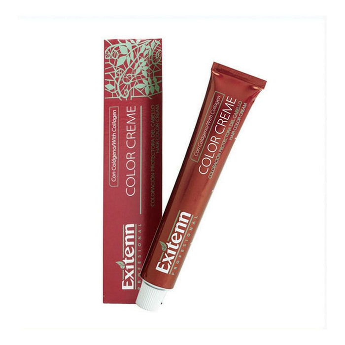 Vopsea Permanentă Color Creme Exitenn Color Creme Nº 6,1 Dark Ash Blonde (60 ml)